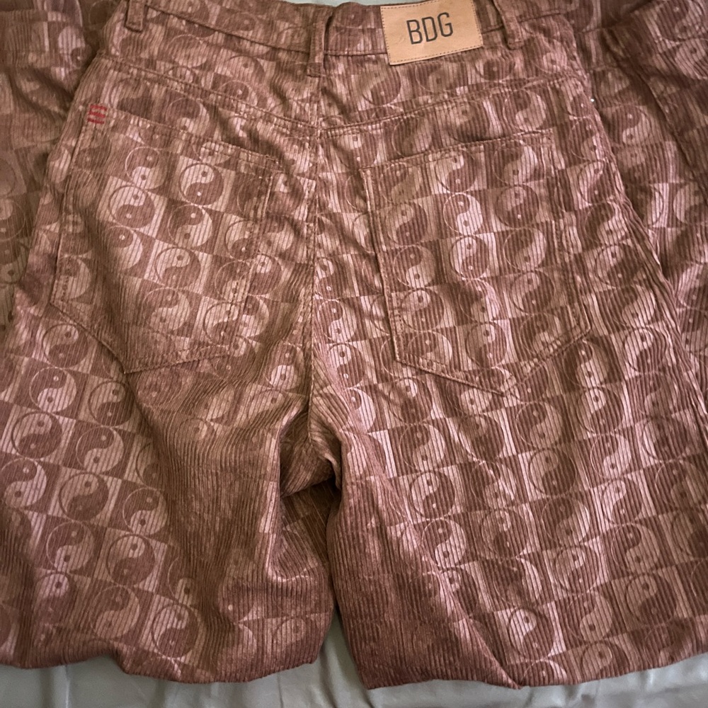 Urban Outfitters BDG pants